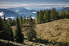 1201017_ Alm-Bume Naturbild Bergkamm Blick Gailtaler+Julische Alpenpanorama mit Triglav Gipfel in Slowenien