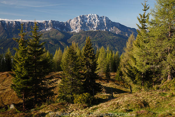 Reißkofel Naturbild Gailtaler Alpen Bergpanorama