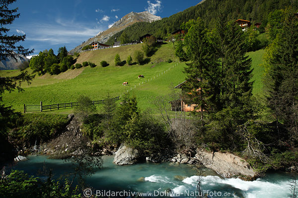 Bergbach Isel Grnwiesen Prgraten Alpenlandschaft Naturfoto Wanderparadies Virgental