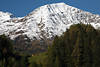 005085_Bergerkogel Gipfelpanorama im Schnee ber grner Alm weidende Khe photo Osttirols Alpenreise