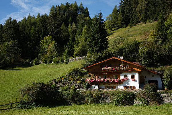 Berg-Gasthaus mit Blumenschmuck saftige Hangwiese Naturidylle Alpendorf Virgen