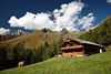 003507_Gottschaunalm Alpenlandschaft grne Almwiese Khe am Bauernhaus Bergspitzen buerliche Naturidylle