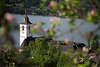 105447_ Apfelblte Frhling Bild ber Sankt Wolfgang Kirchenturm Dcher Wasserblick See