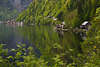 Hallsttter See grne Bucht Reisefoto sterreich Alpensee Frhlingslandschaft mit Hallstatt-Blick