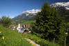 Ellmau Bergpfad Frhlingsblumen Naturfoto Dorf im Alpental