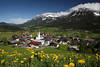 1300394_Ellmauer Dorf Talpanorama Bild Alpenblumen Frhlingsblten am Wilder-Kaiser Foto