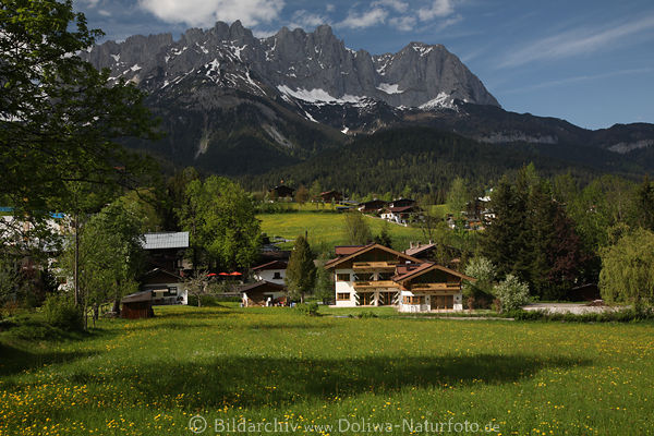 Going Naturidylle Alpenlandschaft Wilder-Kaiser Skyline Tiroler schner Urlaub