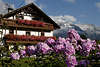 811053_ sterreich buntes Landhaus in Blumen, Berge Romantik Foto von Leutasch Urlaub