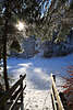 816101_ Wintermrchen Foto am Weibach, Tannenzweige werfen Schnee im Sonnenschein ber Holzsteg am Bach in Waidring