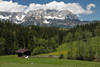 Bergalpe Weidekuh Frhling Naturfoto vor Gipfelpanorama Kaisergebirge Almwiese Bild