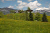 Grovogelsberg Alm Bauernhof Naturidyll Foto grne Bergwiesen Landschaftsbild vor Hinterkaiser