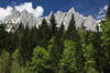 Naturdesign Foto Felsgipfeln ber Frhlingswald Alpenbild Gebirge Grnbume Panorama
