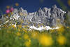 Alps spring-flowers abstract artphoto summits romantic nature landscpe