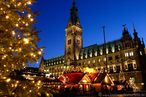 Hamburg hall town Christmas market nightly lights