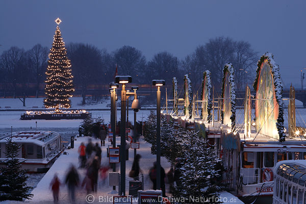 White Christmas photo Hamburg fir tree Alster ships advent-market romantic twilight blue evening mood picture