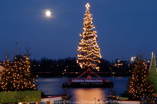 Christmas tree on Alster photo Hamburg fir tree advent nightly lights of moon