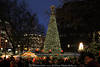 Christmas fir tree Hamburg photo advent market romantic nightly lights city landscape mood picture