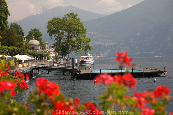 Flowers coast Tremezzo on Como Lake waterscape Italy Alps-sea city ship romantic