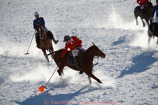 Winterpolo pressphoto horses player ballaction on snow St.Moritz