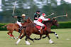 Poloplayer on horses speed gallop to ball polo riders dynamic photo in movement-fuzziness blur