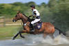 Watercross images horserider equestrian in water-squirts action dynamic open-country riding