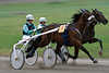 Trot-race photo dynamics horses pair sprint movement picture women trotters in the intoxication of speed