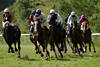 Running horses in gallop race equestrian dynamic action-photo jockey on horses in green speed