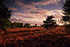 1093_Mood in the heath picture autumn evening trip in nature landscape photo, breezy