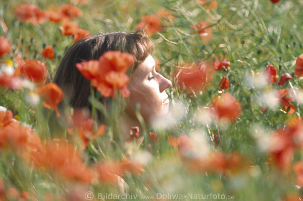 Woman head sits in poppy-field wild-flowers girl in gossip-poppy red bloom