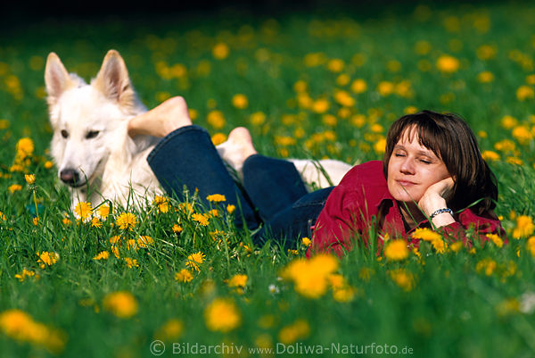 Sun enjoys photo girl with dog as pillows woman lies in spring-grass with white sheepdog