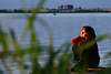 Dreaming girl sits at lake-water photo into sunset red-light behind reed in nature romantic view