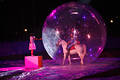 800689_World of the horses gala photography horse-show colorfull picture girl & rides with horse in a ball french performance