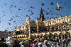 Flying pigeons of Cracow town hall city market place picture with people on trade foyer arcades